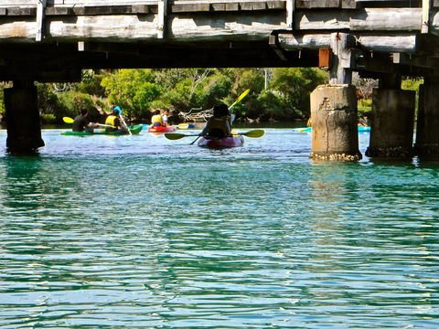 Byron Bay River Nature Kayak Tour - Accommodation Broome 1