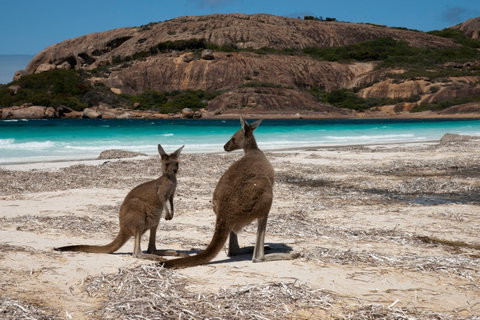 Cape Le Grand National Park - Accommodation Broome 0
