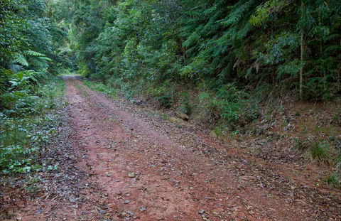 Cascade Mountain Bike Trail - Accommodation Broome 0