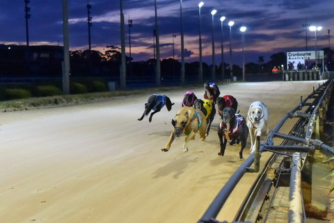 Cranbourne Greyhound Racing Club - Accommodation Broome 1