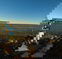 Derby Jetty - Accommodation Broome