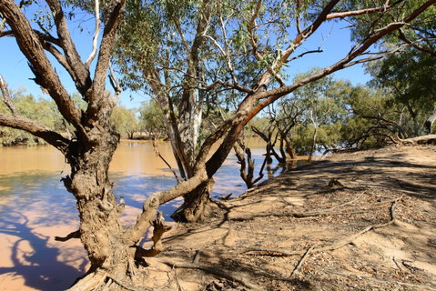 Eulo Five Mile Waterhole - Accommodation Broome 0