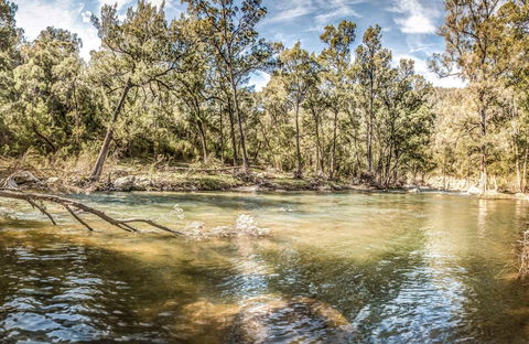 Flea Creek Picnic Area - Accommodation Broome 0