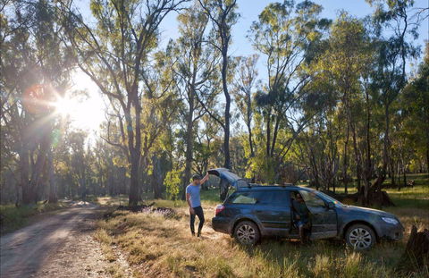 Forest Drive, Murrumbidgee Valley National Park - Accommodation Broome 0