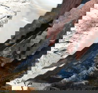 Goldfields at Ironbarks - Accommodation Broome