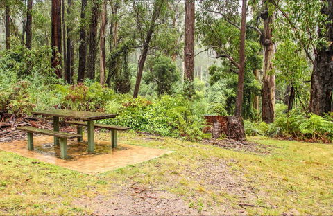 Goodenia Rainforest Picnic Area - Accommodation Broome 0