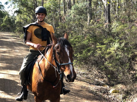 Horse Riding Tasmania - Accommodation Broome 2