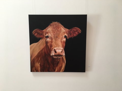 Ivy Hill Gallery - Accommodation Broome 2