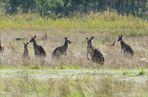 Kosciuszko National Park - Accommodation Broome 2