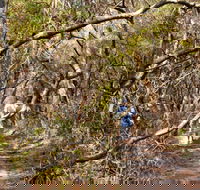 Lyrebird Dell walking track - Accommodation Broome