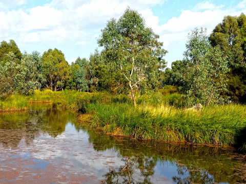 Mansfield Mullum Wetlands - Accommodation Broome 0