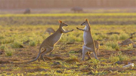 Mary River Area - Accommodation Broome 0