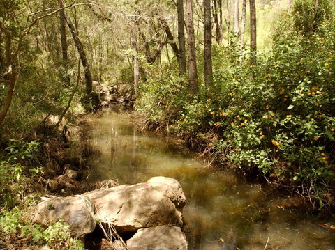 Sandy Creek Track - Accommodation Broome 0