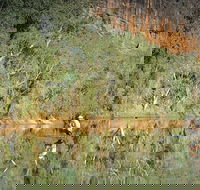 Time Walk Windjana Gorge National Park - Accommodation Broome