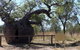 Time Walk, Windjana Gorge National Park - thumb 2