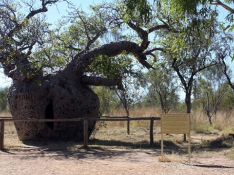 Time Walk, Windjana Gorge National Park - Accommodation Broome 2