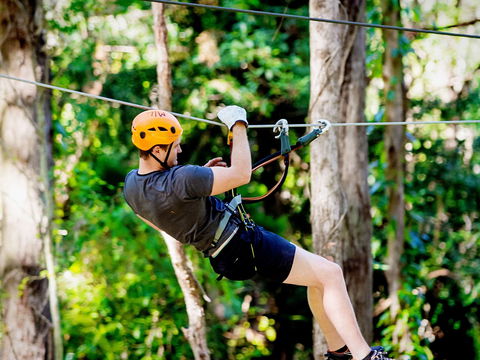 TreeTop Challenge Currumbin Wildlife Sanctuary - Accommodation Broome 0