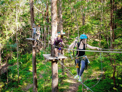 TreeTop Challenge Currumbin Wildlife Sanctuary - Accommodation Broome 1