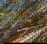 TreeTops Sydney The Hills - Accommodation Broome