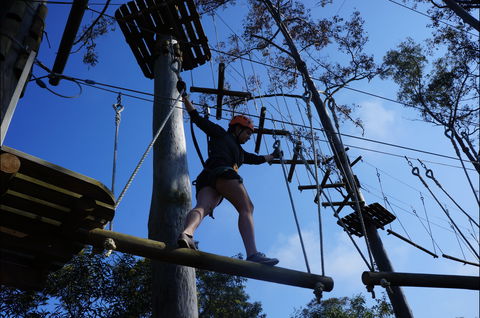 Trees Adventure Nowra Park - Accommodation Broome 0