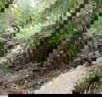 Upper Yarra Reservoir Park - Accommodation Broome