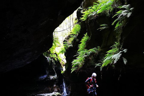 Full-Day Canyoning Experience At Stunning Empress Canyon - Accommodation Broome 6