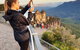 Ultimate Blue Mountains Waterfalls, Walks & Sunset PRIVATE Tour - thumb 7