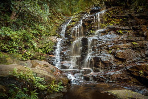 Ultimate Blue Mountains Waterfalls, Walks & Sunset PRIVATE Tour - Accommodation Broome 10