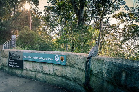 Ultimate Blue Mountains Waterfalls, Walks & Sunset PRIVATE Tour - Accommodation Broome 8