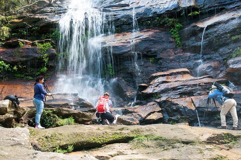 Ultimate Blue Mountains Waterfalls, Walks & Sunset PRIVATE Tour - Accommodation Broome 11