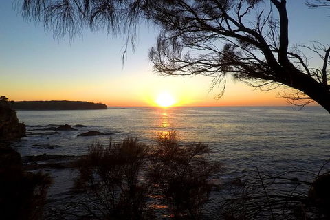 Batemans Bay Overnight Kayak Camping Tour - All Inclusive - Accommodation Broome 1