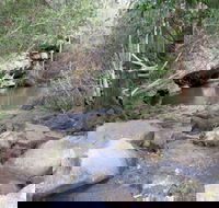 Bomaderry Creek Regional Park - Accommodation Broome