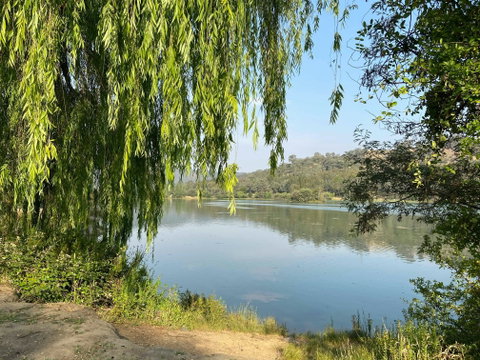 Eildon Pondage Walk - Accommodation Broome 1
