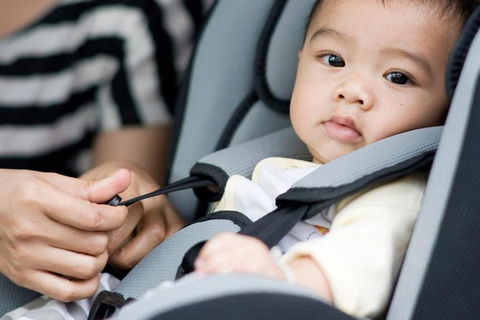 Sydney Airport Transfer With Two Free Baby Seats: Airport To City - Accommodation Broome 1