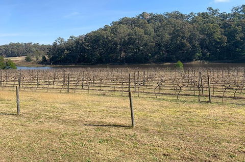 Sydney Winery And Cider Tour. - Accommodation Broome 4