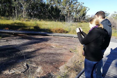Kangaroo Encounter & Aboriginal Rock Arts Half-Day Trip From Sydney - Accommodation Broome 7