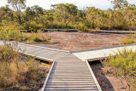Kangaroo Encounter & Aboriginal Rock Arts Half-Day Trip From Sydney - Accommodation Broome 1