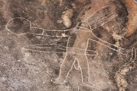 Kangaroo Encounter & Aboriginal Rock Arts Half-Day Trip From Sydney - Accommodation Broome 4