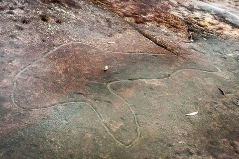 Kangaroo Encounter & Aboriginal Rock Arts Half-Day Trip From Sydney - Accommodation Broome 8