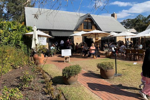 Hunter Valley Winery Tours - Accommodation Broome 4