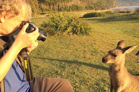 Highlights Of The Eurobodalla (half Day Private Tour) - Accommodation Broome 2