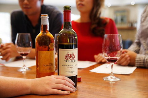 Tulloch Wines- Tasting Of 6 Pokolbin Dry Red Shiraz Vintages With Charcuterie - Accommodation Broome 3