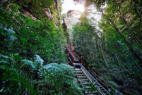 All-Inclusive Blue Mountains Tour In A Luxury Mercedes Sprinter - Accommodation Broome 8