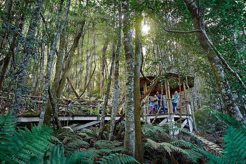 All-Inclusive Blue Mountains Tour In A Luxury Mercedes Sprinter - Accommodation Broome 6