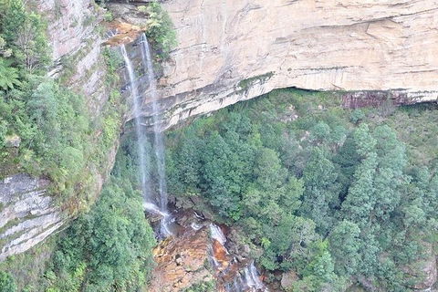 All-Inclusive Blue Mountains Tour In A Luxury Mercedes Sprinter - Accommodation Broome 9