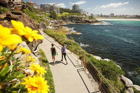 Sydney Uncovered Full-Day Tour - Accommodation Broome 7