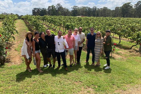 Hunter Valley Exclusive Kangaroo And Wine Tasting Experience - Accommodation Broome 6