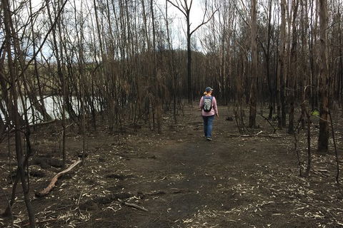 Fishermans Paradise Eco-walk - Accommodation Broome 5