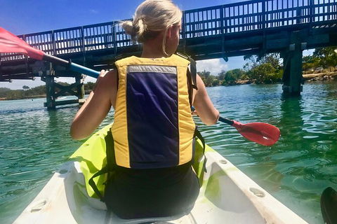 2-Hour Rental Kayak Double In Brunswick River - Accommodation Broome 3