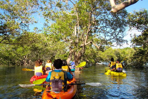 2-Hour Rental Kayak Double In Brunswick River - Accommodation Broome 2